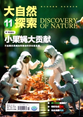 大自然探索杂志